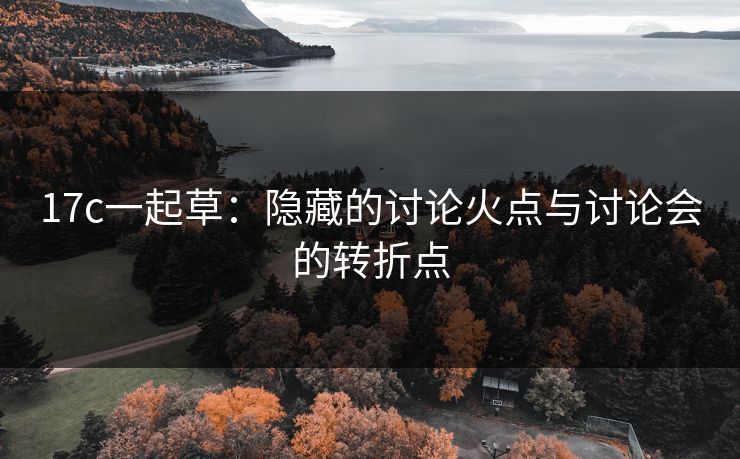 17c一起草：隐藏的讨论火点与讨论会的转折点