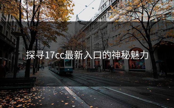 探寻17cc最新入口的神秘魅力