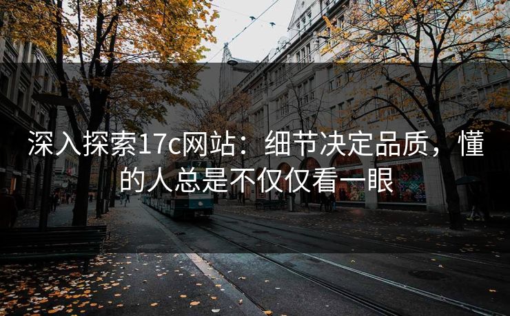 深入探索17c网站：细节决定品质，懂的人总是不仅仅看一眼