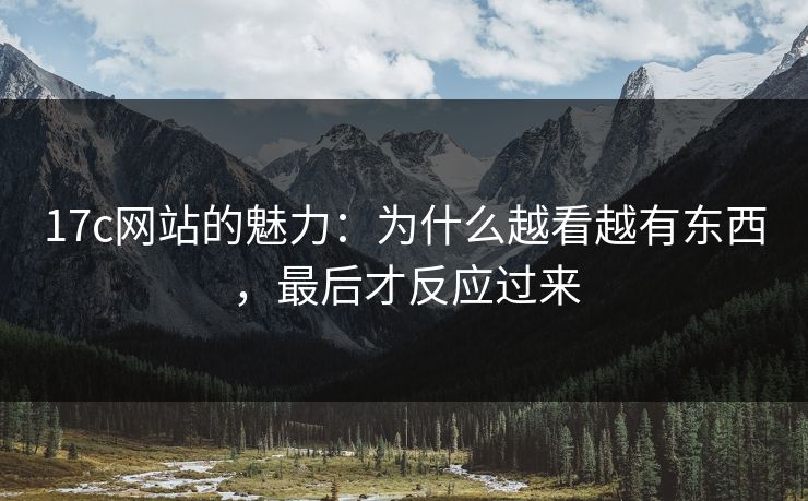 17c网站的魅力：为什么越看越有东西，最后才反应过来