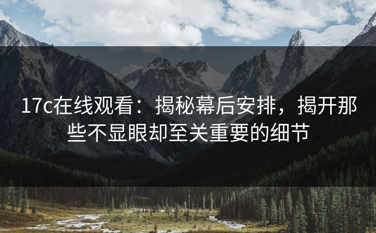 17c在线观看：揭秘幕后安排，揭开那些不显眼却至关重要的细节