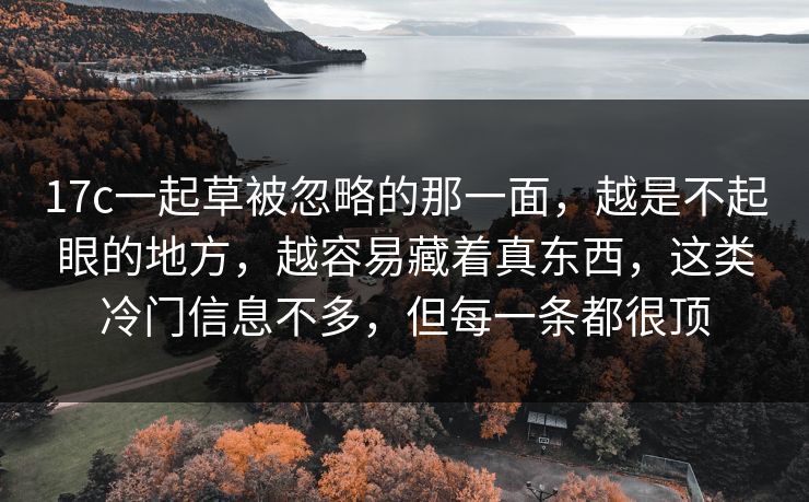 17c一起草被忽略的那一面，越是不起眼的地方，越容易藏着真东西，这类冷门信息不多，但每一条都很顶