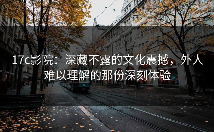 17c影院:深藏不露的文化震撼,外人难以理解的那份深刻体验 17c影院:深藏不露的文化震撼,外人难以理解的那份深刻体验